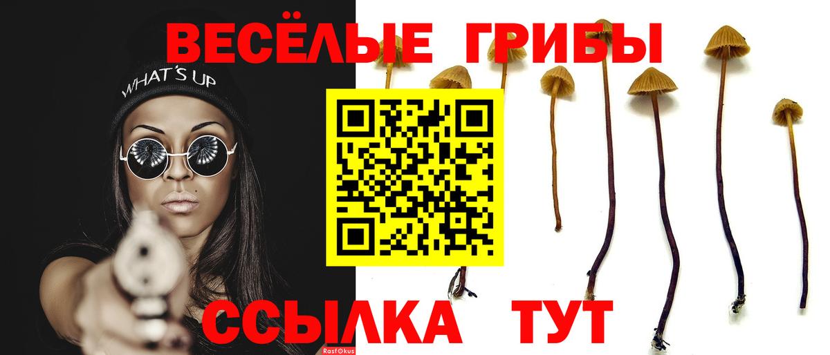 Псилоцибиновые грибы Psilocybe  Вход с VPN  Новороссийск 